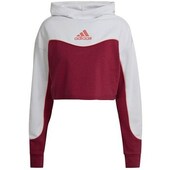 Sweatshirts Adidas  Hanorac
