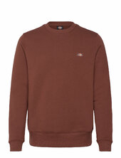 M Oakport Sweatshirt Dickies Brown