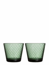 Tundra Tumbler 29cl Pine Green 2pc Iittala Green