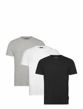 3 Pack Crew French Connection Patterned