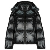 Dynejakker Jott  Quinn Shiny