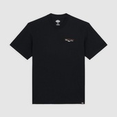 T-shirts M. Korte ærmer Dickies  168403