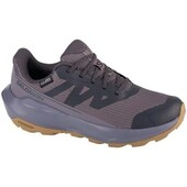 Klassiske Sko Salomon  Elixir Tour Wp