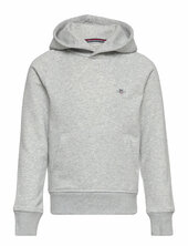 Shield Hoodie Gant Grey