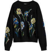 Pullovere Desigual  Jers_cooper 25wwjf36