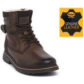 Støvler Dockers  300 Marrone