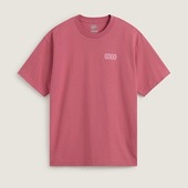 T-shirts M. Korte ærmer Vans  Earthbound Loose Fit S