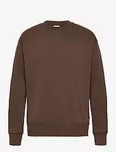 Sdlenz Crew Sw Solid Brown
