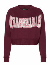 Awa Crew Svea Burgundy