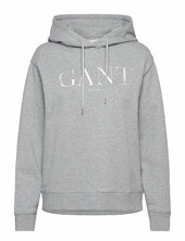 Tonal Graphic Hoodie Gant Grey