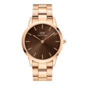 Daniel Wellington Dw Watch Iconic Link Amber 36mm Rose Gold