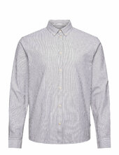 Sdval Stripe Solid Grey