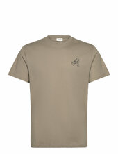 Sdpax Solid Brown