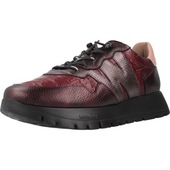 Sneakers Wonders A2491