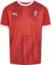 Puma Dhf Hjemmebanetrøje Unisex Tøj Rød M