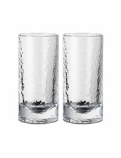 Forma Longdrinkglas 32 Cl 2 Stk. Holmegaard