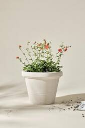 Amy Udendørskrukke Diameter 60 Cm