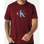 T-shirts M. Korte ærmer Calvin Klein Jeans  Lv04rb862g