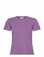 Sonoma American Vintage Purple