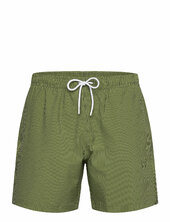 Anf Mens Swim Abercrombie & Fitch Green