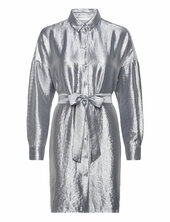 Slfsilva-tonia Ls Shirt Dress B Selected Silver