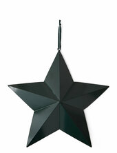 Metal Star Lexington Home Green