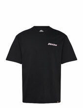 M Statesville Tee Ss Dickies Black