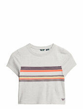 Vintage Stripe Crop Tee Superdry Grey