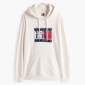 Sweatshirts Tommy Jeans Tjm Reg Rwb Flag Hoodie