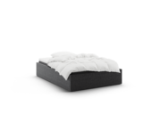 Linea