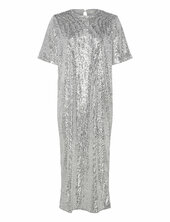 Barbaraiw Long Dress Inwear Silver