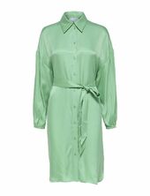 Slfirene-tonia Ls Cupro Shirt Dress B Selected Green