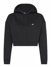 Oakport Cropped Hoodie W Dickies Black