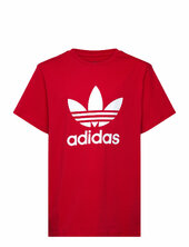 Trefoil Tee Adidas Originals Red