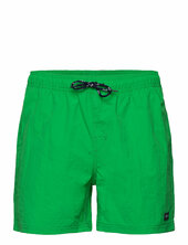 Leisure Swim Shorts H2o Green