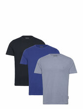 3 Pack Crew French Connection Patterned
