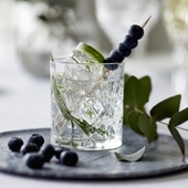 Lyngby Glas - Whisky Glas 6 Stk