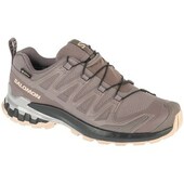 Løbesko Salomon  Xa Pro 3d V9