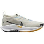 Løbesko Nike  W Pegasus Trail 5 Gtx
