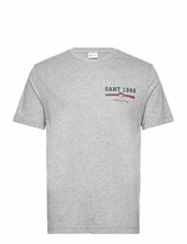 Graphic Ss T-shirt Gant Grey