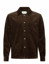 Sdingvi Solid Brown