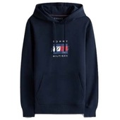 Sweatshirts Tommy Hilfiger Linear Flag Graphic Hood