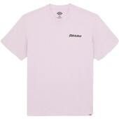 T-shirts M. Korte ærmer Dickies  Statesville Tee Ss