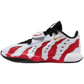 Sneakers Nike  Lebron 21 Prime 96