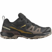 Salomon X Ultra 360 Gore-tex